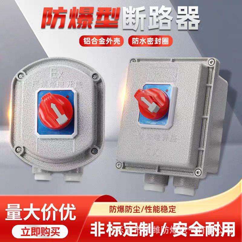 防爆断路器 防爆空开 2P3P 16A32A防爆配电箱控制箱 防爆空气开关