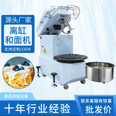 离缸商用和面机H20H30flour-mixingmachine可做英文面板揉面机