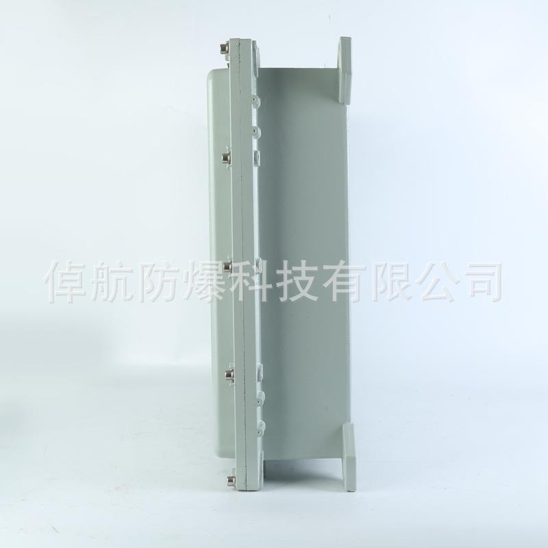 隔爆型ⅡB500×600×160防爆接线箱仪表箱配照明电箱隔爆型防爆箱