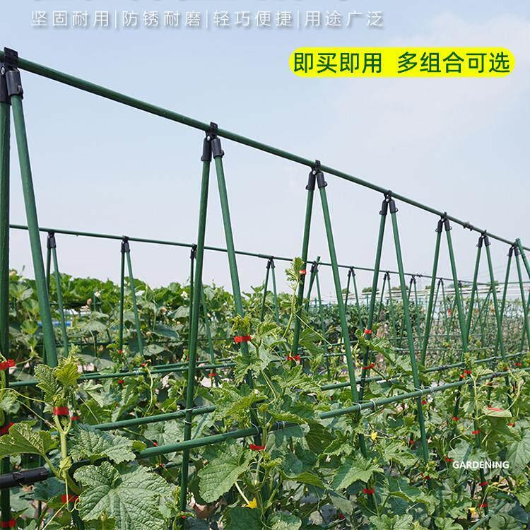 黄瓜爬藤架花架豆角葡萄丝瓜番茄支架植物月季种菜架子园艺支撑杆