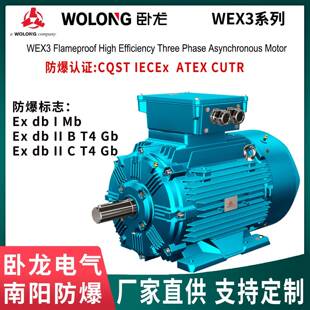 卧龙南阳防爆电机WEX3CQST IECEx ATEX CUTR 防爆认证厂家直供
