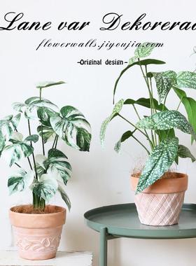 is白绿龟n背植叶鳟鱼海棠仿真绿桌面摆件家DGV居客厅装植物落地饰