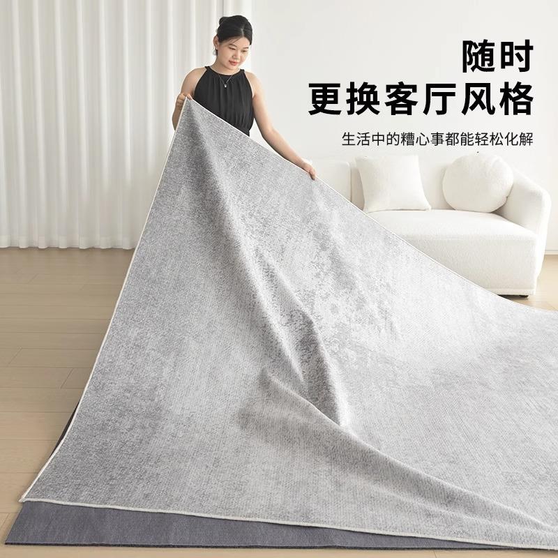 地毯客厅可机洗双层可拆洗2025新款地毯轻奢高级书房沙发茶几地垫