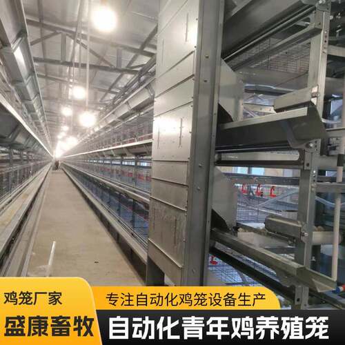 三层四层立式蛋鸡笼子青年鸡养殖热镀锌蛋鸡笼农场养鸡养殖笼具