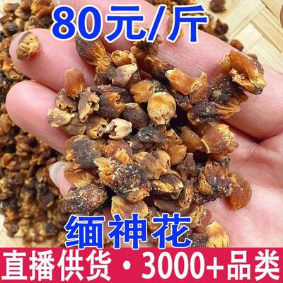 缅神花 金莲子 金莲籽产地货源