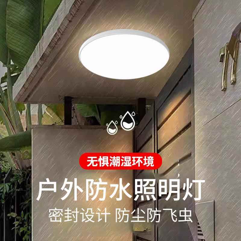 TRIAC户外吸顶灯防水屋檐灯阳台露台农村自建房庭院入户大门门口