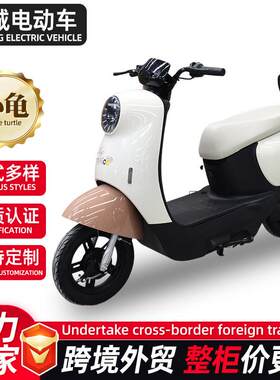 小龟款电动车跨境外贸两轮电车学生代步双人长续航电动自行车