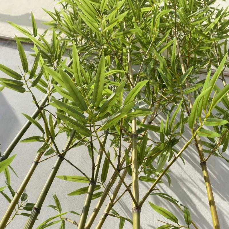 彷生竹子装饰假竹子彷真竹子植物隔断挡墙饭厅新中式彷真竹子造景
