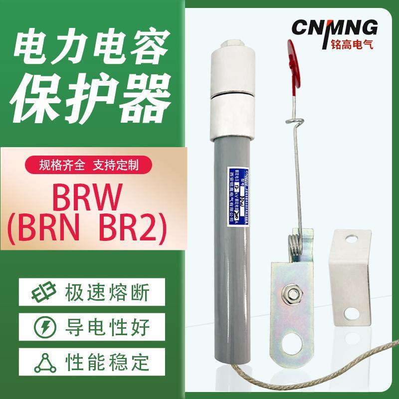 高压并联电容保护器熔断器保险管BR2 BRN BRW10-12KV10A26A30A48A