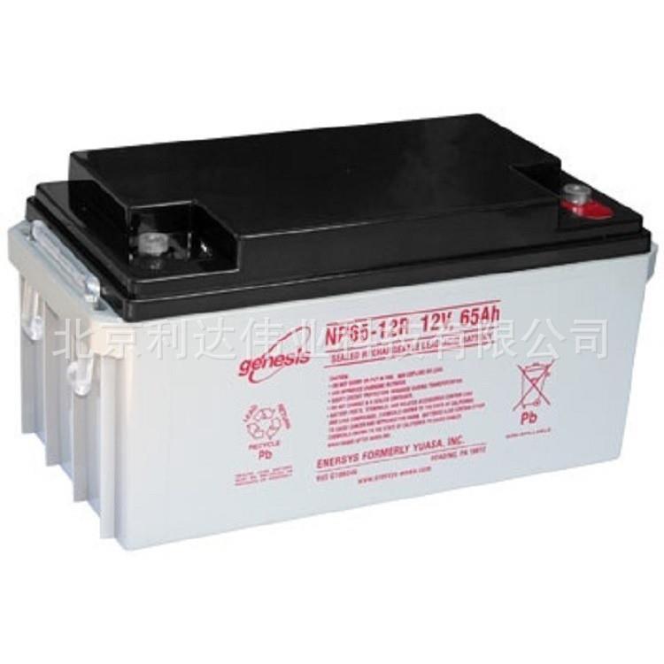 艾诺斯华达霍克蓄电池NP38-12免维护蓄电池12V38AH应急电源 现货