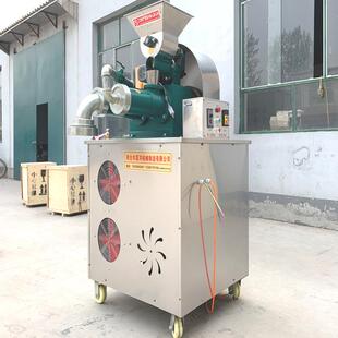 洋UGL厂家直嘉销全自动 玉米面条机杂 多功能年糕 粮面条 做米线