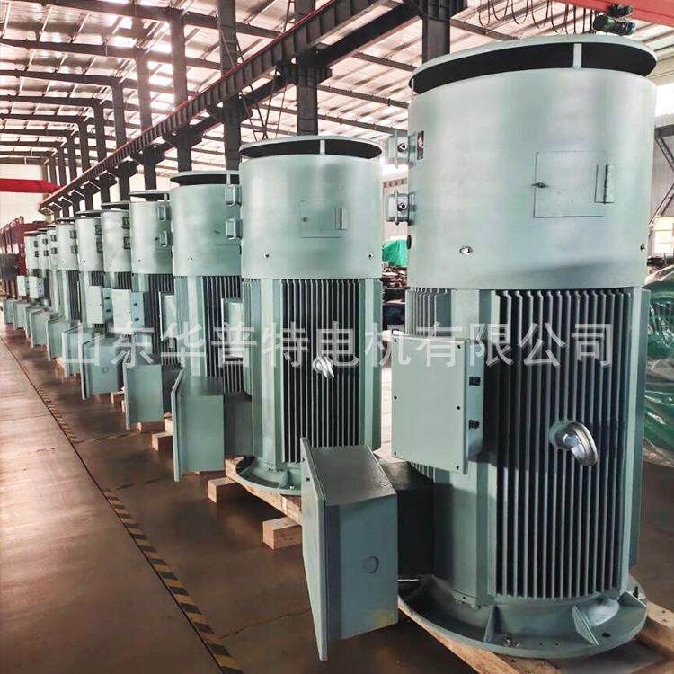出口变频立式电机YVP3-400-10/185kw-适用于变频器操作,IC416