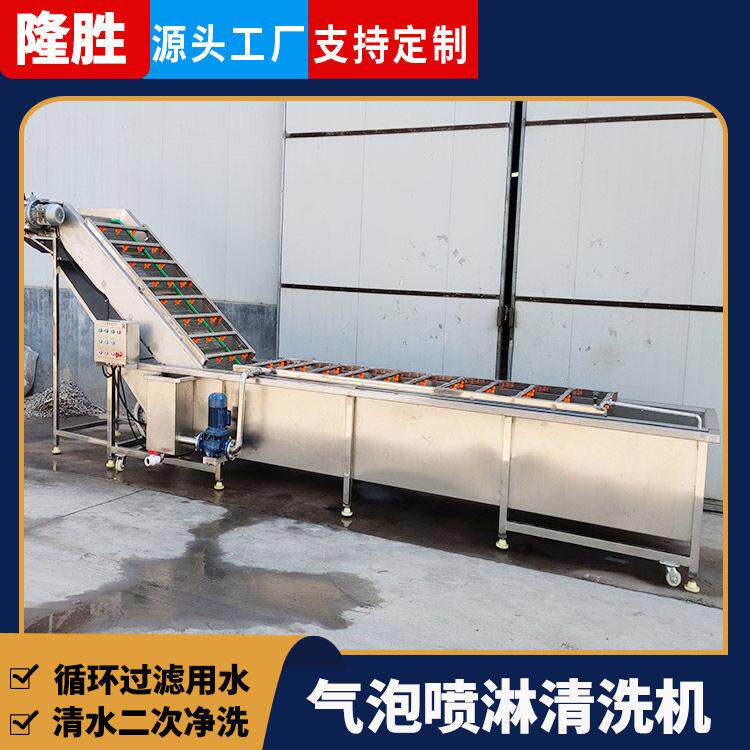 水果大型清洗流水线青梅果全自动气泡清洗机不锈钢乌梅清洗机