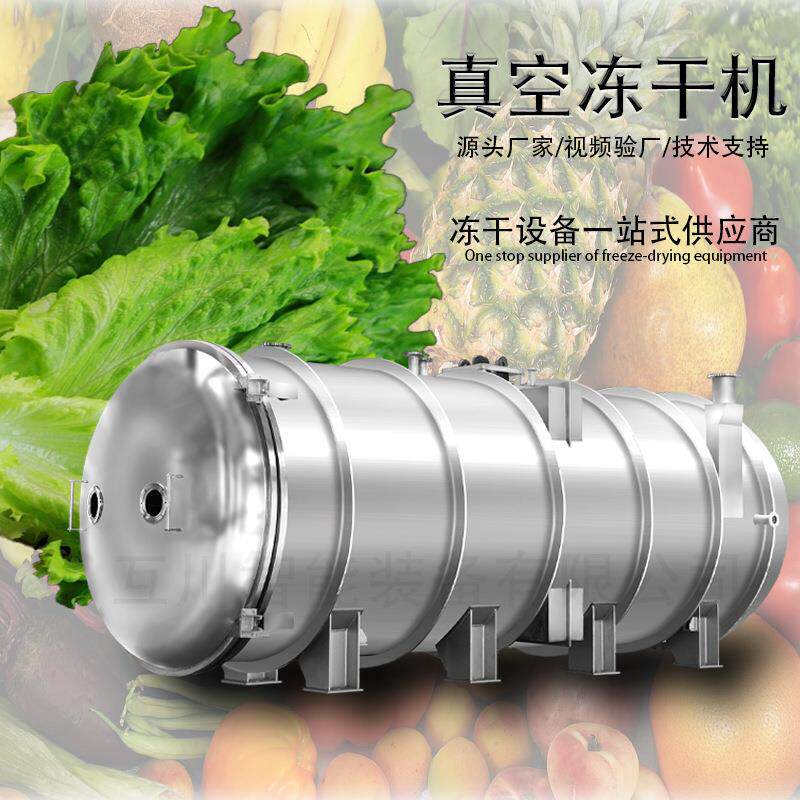 FD干燥大型商用果蔬冻干机苹果香蕉低温冻干设备菠萝蜜冻干机