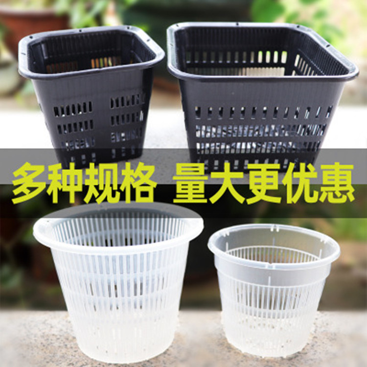 蝴蝶兰兰花盆栽加厚透气塑料花瓶