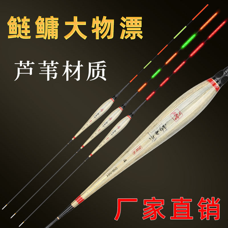 芦苇电子两用夜光醒目鱼漂浮漂