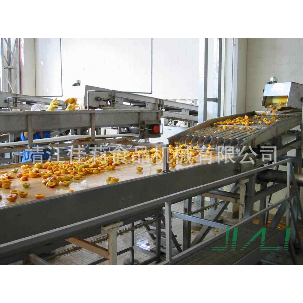 不锈钢皮带选果机挑选机果蔬检选机可根据要求制作