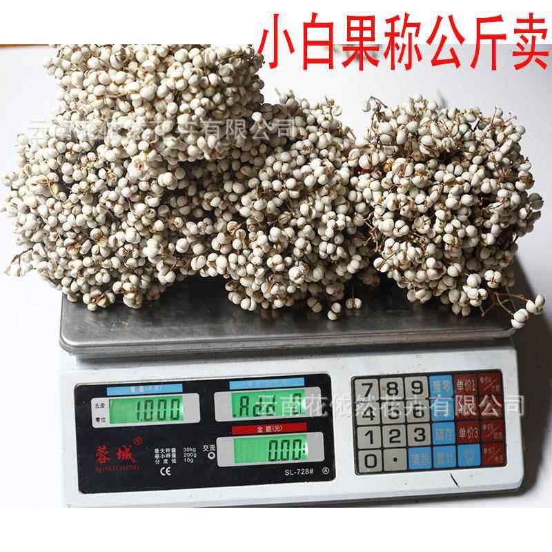 小白果干花乌桕果冬菇草薏米白米果花环DIY干花材料称公斤
