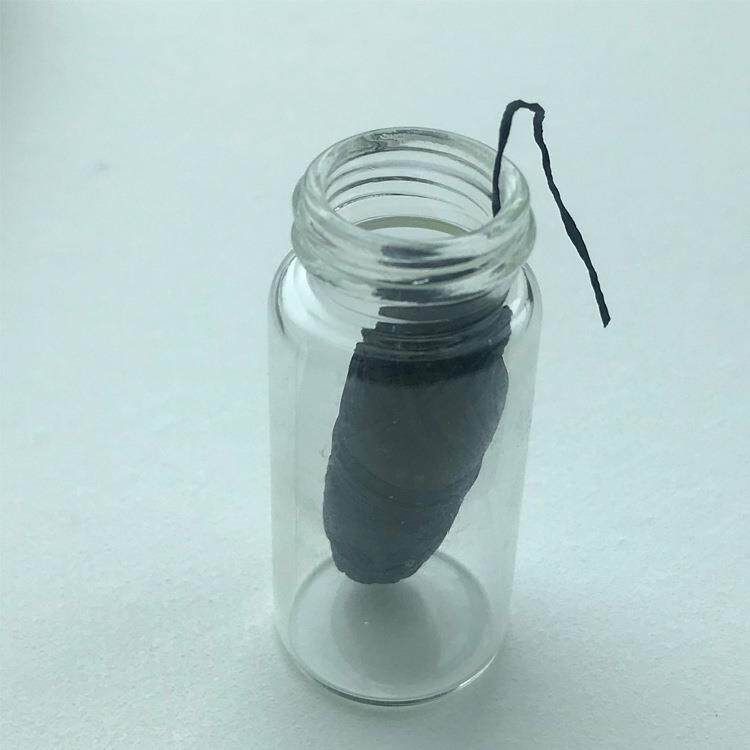 口腔清洁竹炭牙线玉米PLA牙线梭形牙线带切线刀口瓶装牙线牙线棒