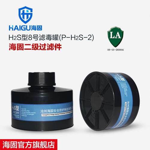 海固HG-ABS/P-H2S-2级滤毒罐 硫化氢 氨气滤毒罐 硫化氢防护