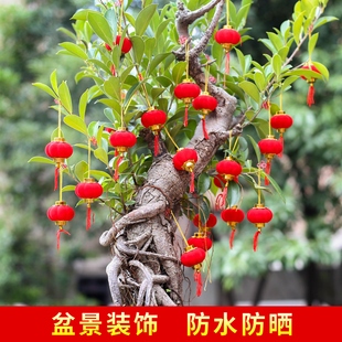饰元 新年小红灯笼挂饰树上绿植装 宵节场景布置2025年春节过年挂件