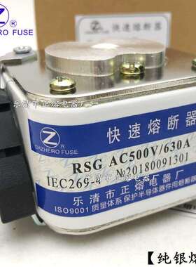 RSG-500V/80A 90A 100A 120A 125A 150A 160A 180A快速熔断器