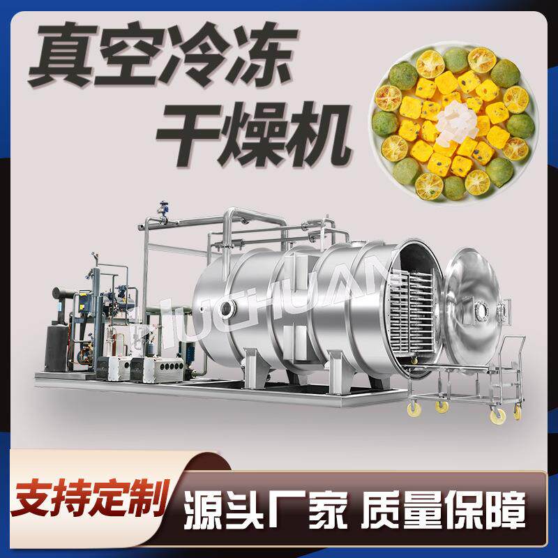 大型化百香果香蕉水果冻干机 燕麦冻干水果蔬菜真空冷冻干燥机