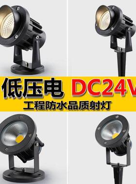 低压DC24V照树灯户外防水射灯投光灯景观灯花园草坪庭院射树灯