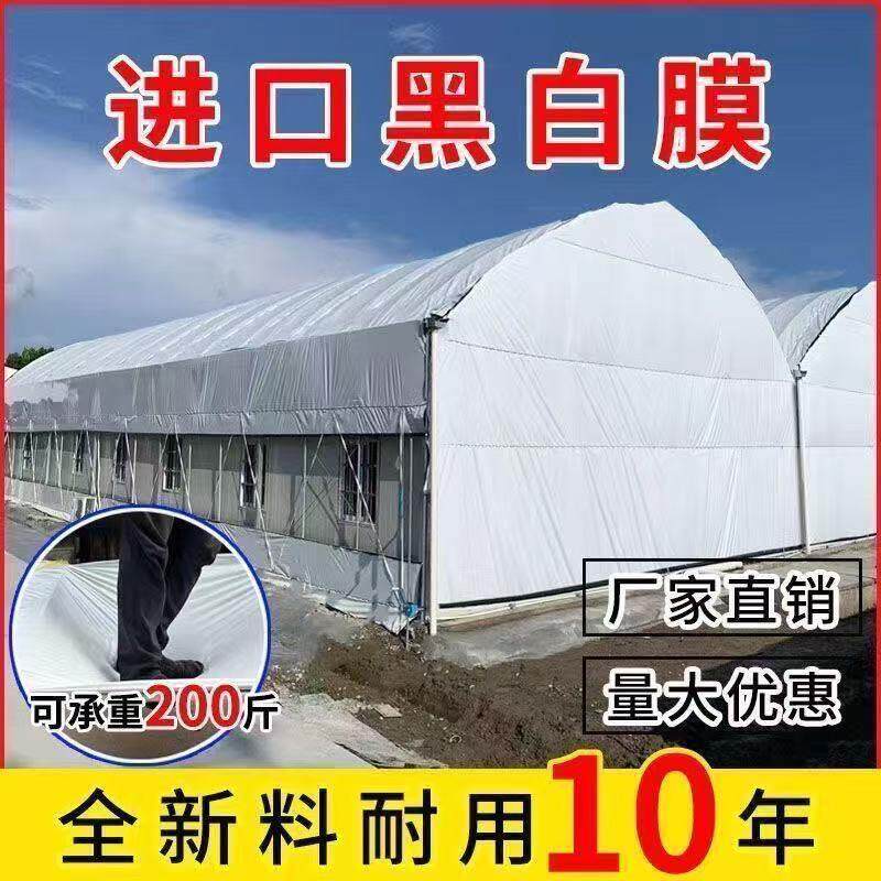 进口黑白膜加厚养殖大棚黑白膜反光隔热膜防晒塑料布食用菌塑料膜
