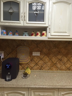 德国德克西净水器怎么样?为什么说质量好?来听听大家感受