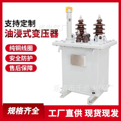 单相电力油浸式变压器D-5/10-0.235KV保护装置稳定耐用