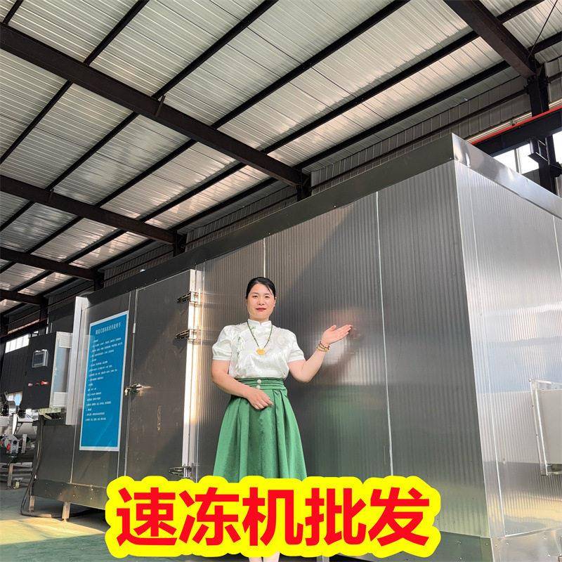 大型风冷速冻隧道 软体水产生产线 墨鱼仔速冻设备厂家
