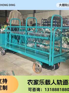 景区观光车 广场轨道小火车农庄户外儿童游乐设备 电动轨道车厂家