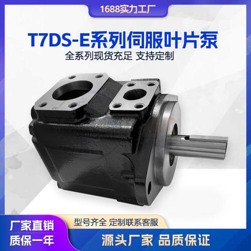 液压泵T7DS-E系列伺服叶片泵塑胶压铸机油泵液压泵高压叶片泵
