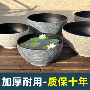 碗莲水培器皿大号塑料养睡莲荷花铜钱草专用花盆大口径30以上的缸