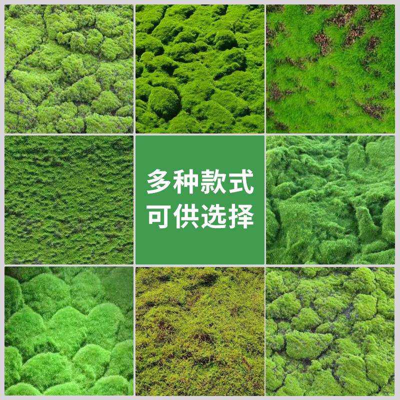 仿真苔藓人造绿色假青苔造景布置摆件铺面苔藓装饰薇景观拼接草坪