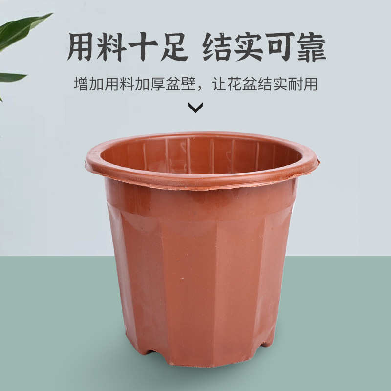 塑料胶花盆加厚耐用一次性种花育苗盆特大号小号植花盆厂家直销