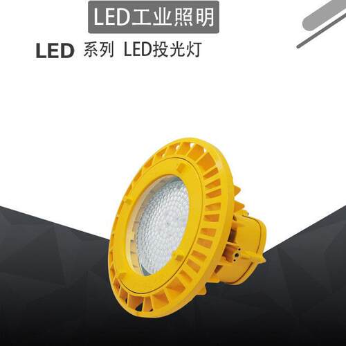ZG-SENBEN森本照明BFC8125 LED免维护节能防爆灯控制化工锅炉电厂