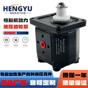 Hengyuhang齿轮泵2PDF12DB0T0E4布赫泵BUCHER液压泵AP200油泵高压