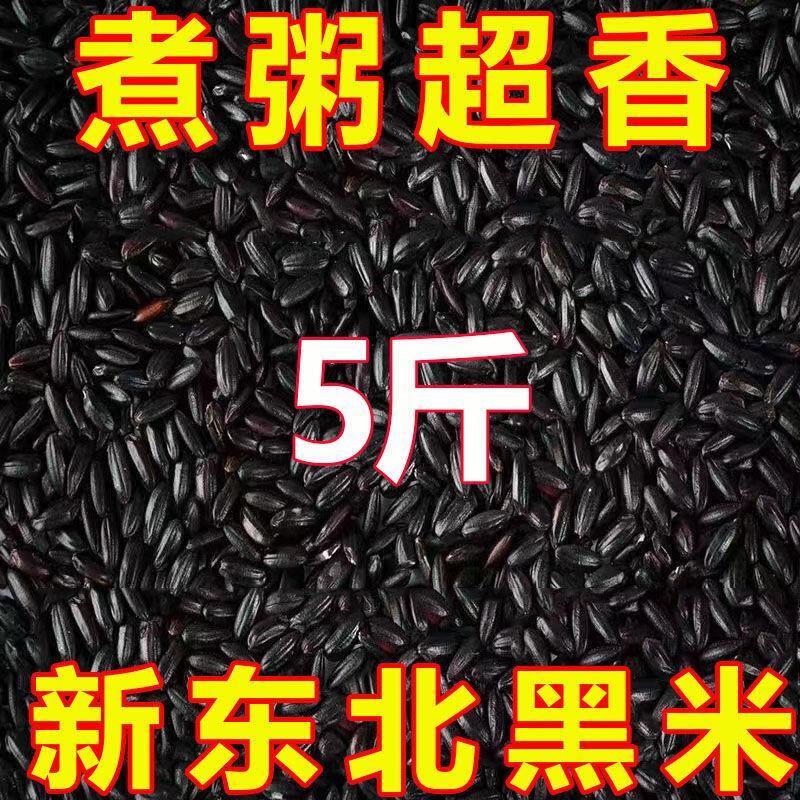 东北新黑米10斤无染色黑大米黑糯米五谷杂粮黑香米粥3斤特价