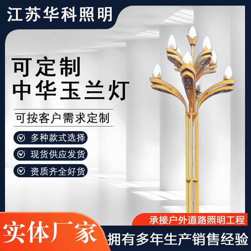 供应LED玉兰灯中华灯户外6米8米市政道路照明路灯常规多灯头景观