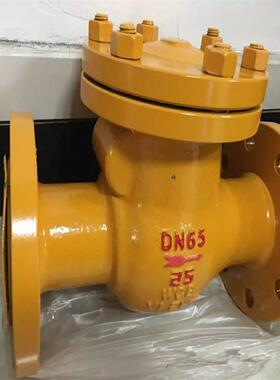 氨用旋启式止回阀 H44F-25C 液化石油气氨气液氨氨用止回阀