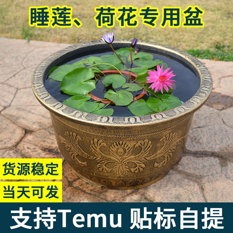 养荷花盆睡莲盆加厚塑料特大号莲藕铜钱草碗莲盆养鱼缸水缸大花盆