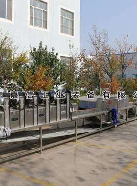 胡萝丁清蔬洗GEZ机毛豆清洗机泡加气高压喷淋双重清卜洗菜流水线
