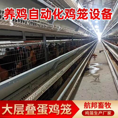 养殖场用层叠式四层四门蛋鸡笼设备大层叠全自动化蛋鸡笼厂家定制