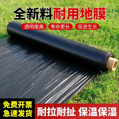 农用黑地膜辣椒种植除草加厚保温保湿大棚果树蔬菜塑料薄膜