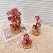 玻璃罩玫瑰干 饰摆饰送女友闺蜜节 干燥花花束植物标本客厅卧室装