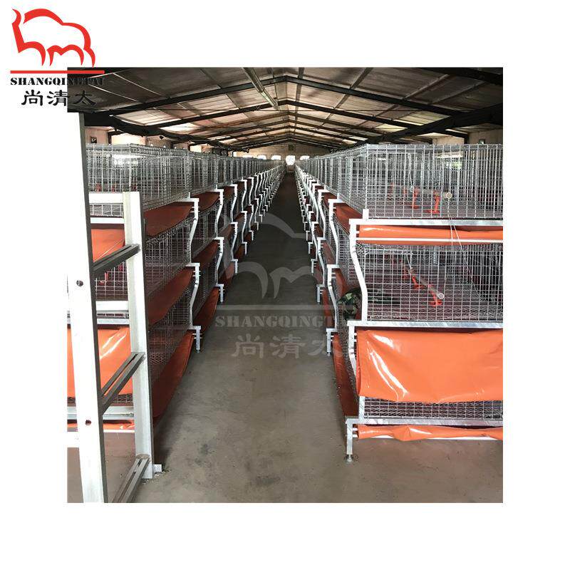 元宝肉鸡笼 肉鸡饲喂笼具 养鸡笼子 鸡用成长笼 畜牧养殖设备