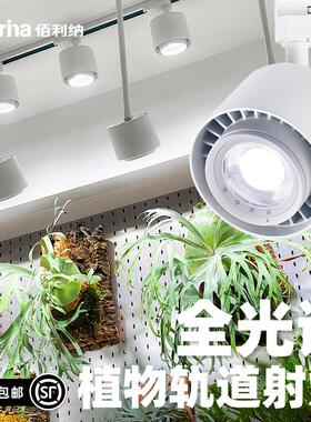 Barrina全光谱植物墙补光灯轨道射灯室内景观绿植补光灯LED生长灯