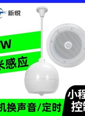 感应吊球音响吊杆式感应语音播报器商铺背景音乐人体感应天花喇叭